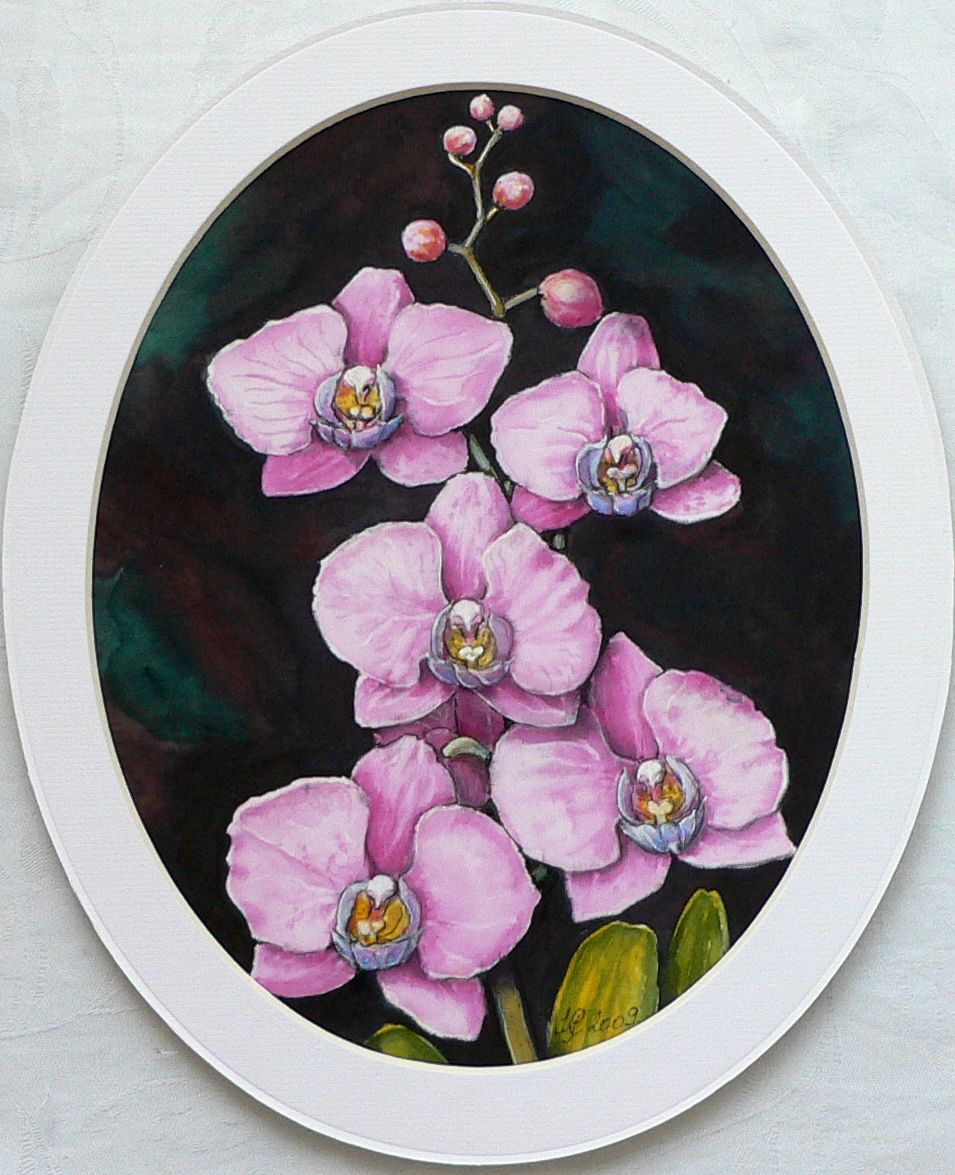 Orchideák 03. Phalaenopsis bouquet 2009