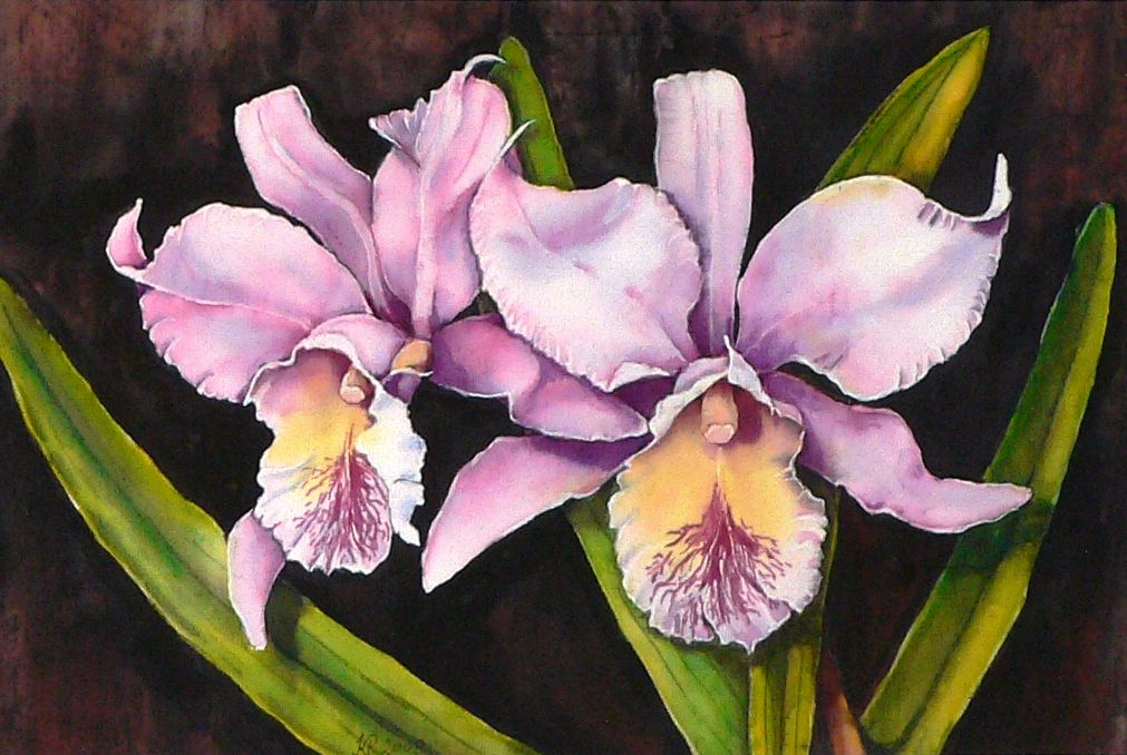   Orchideák 04. Cattleya 2009