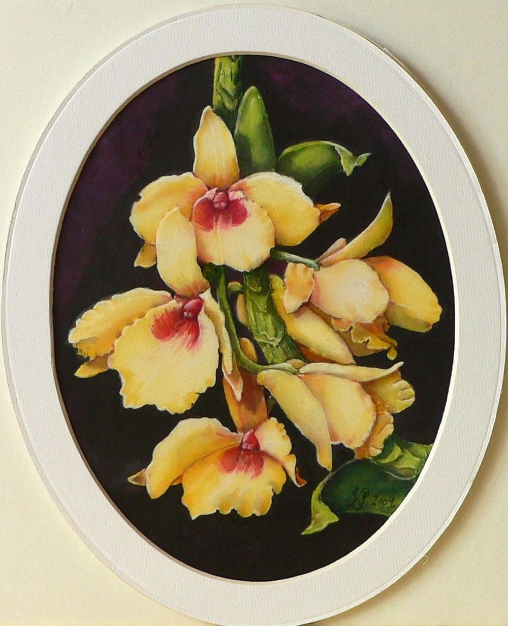 Orchideák 06. Dendrobium 2009