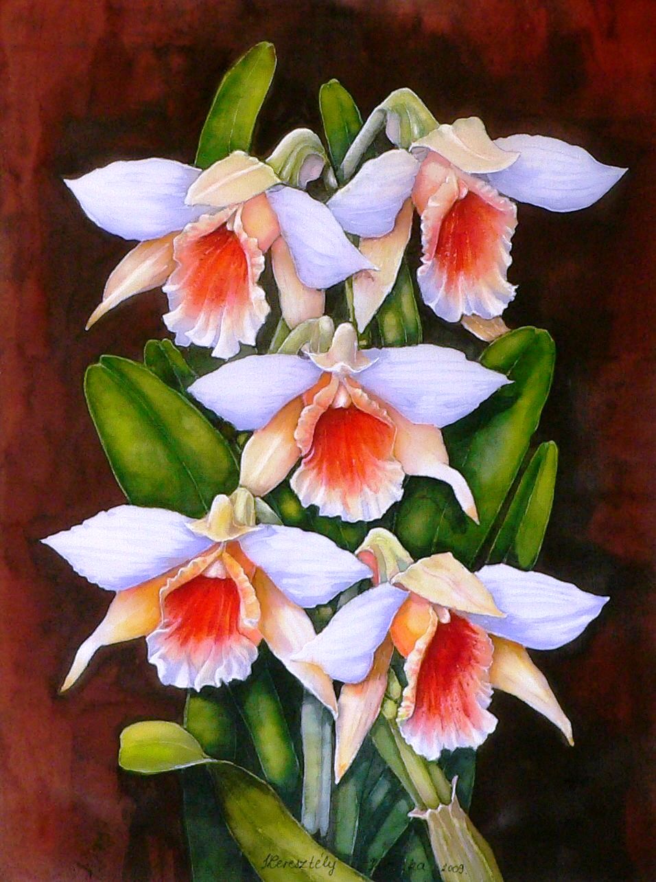 Orchideák 19.  Dendrobium cariniferum 2009