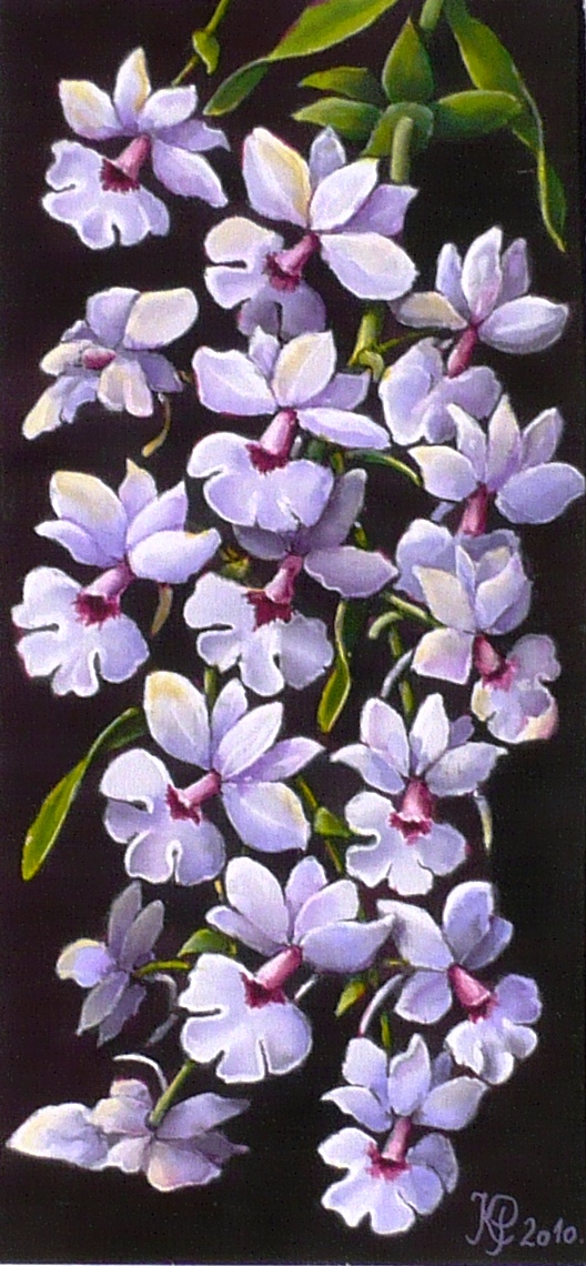 Orchideák 26. Calanthe Vestica 2010