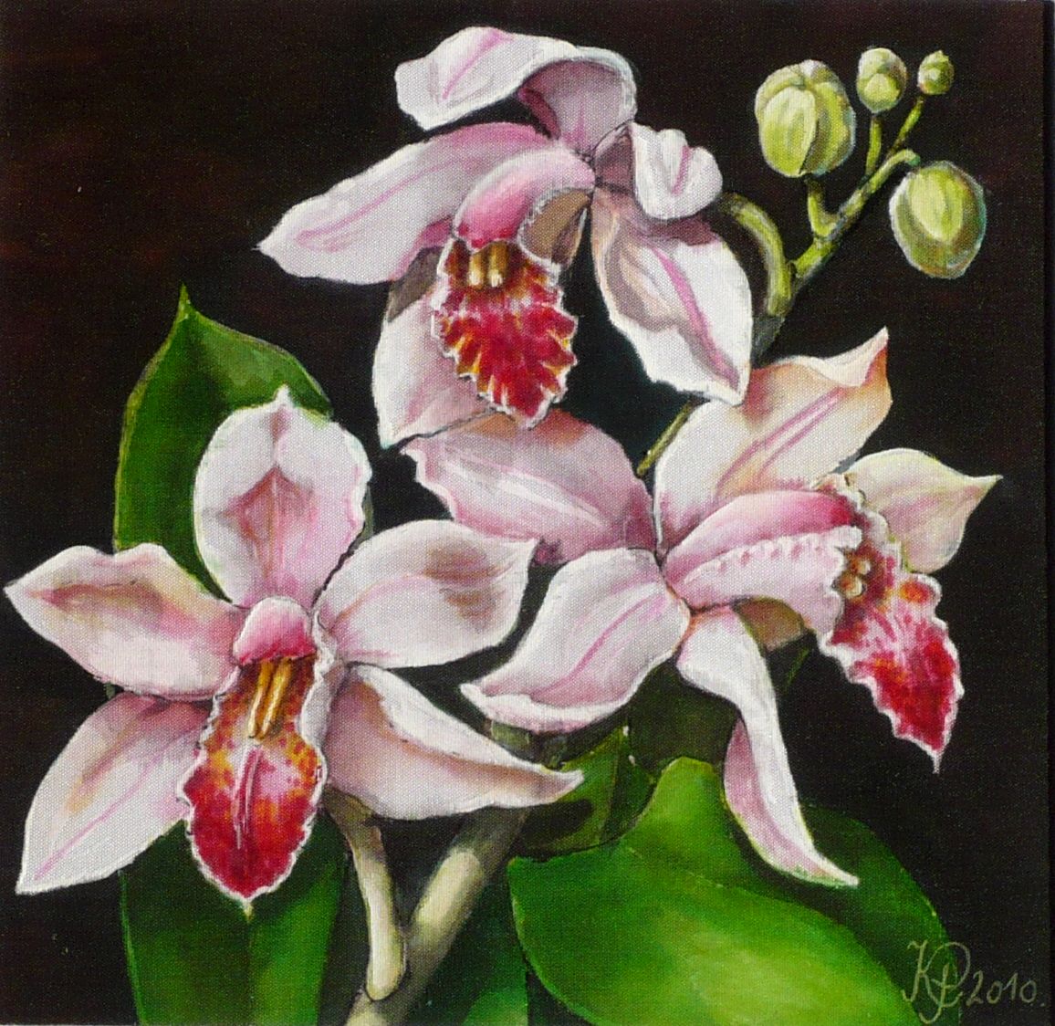 Orchideák 28. Cymbidium  2010