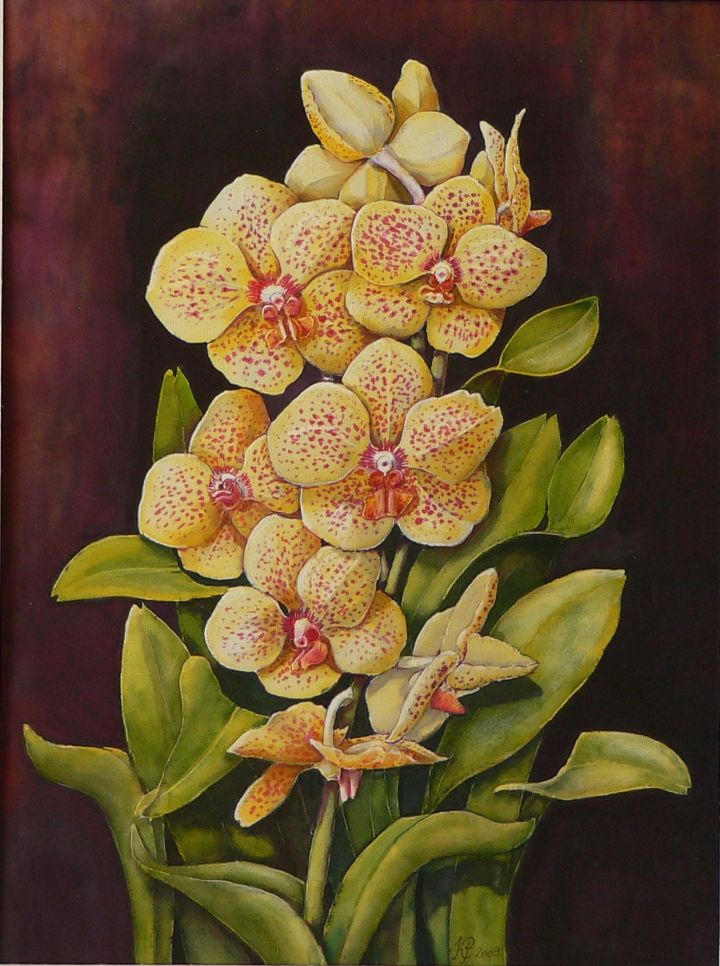 Orchideák: készen van a kép