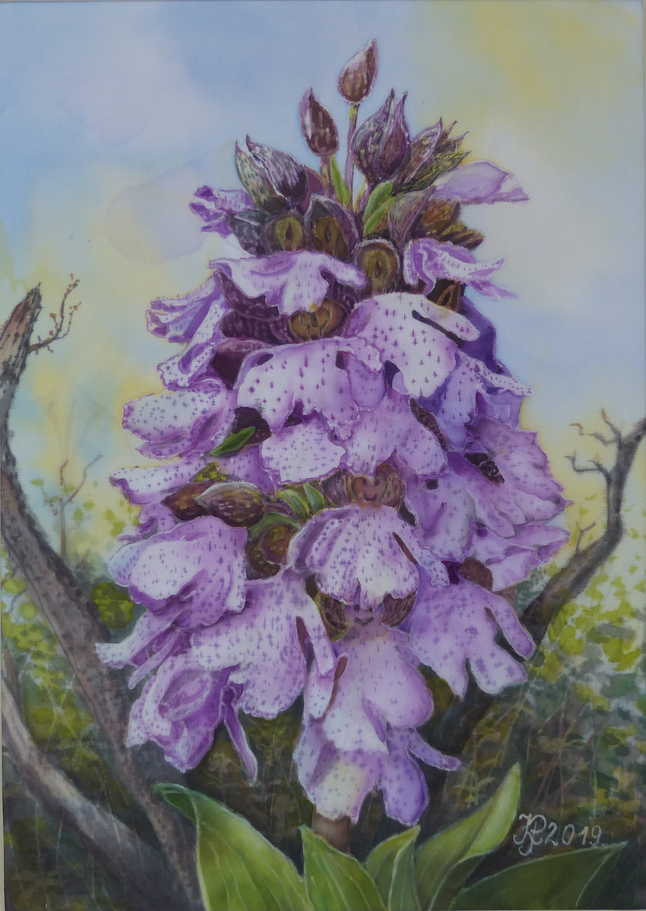 (569)A magyar orchidea, Kosbor. 31x22 cm, selyem