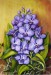 Orchideák 24. Vanda 2010