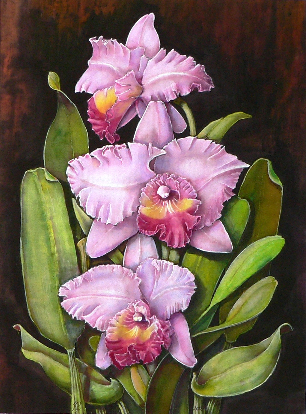 Orchideák 09. Cattleya gaskelliana 2009