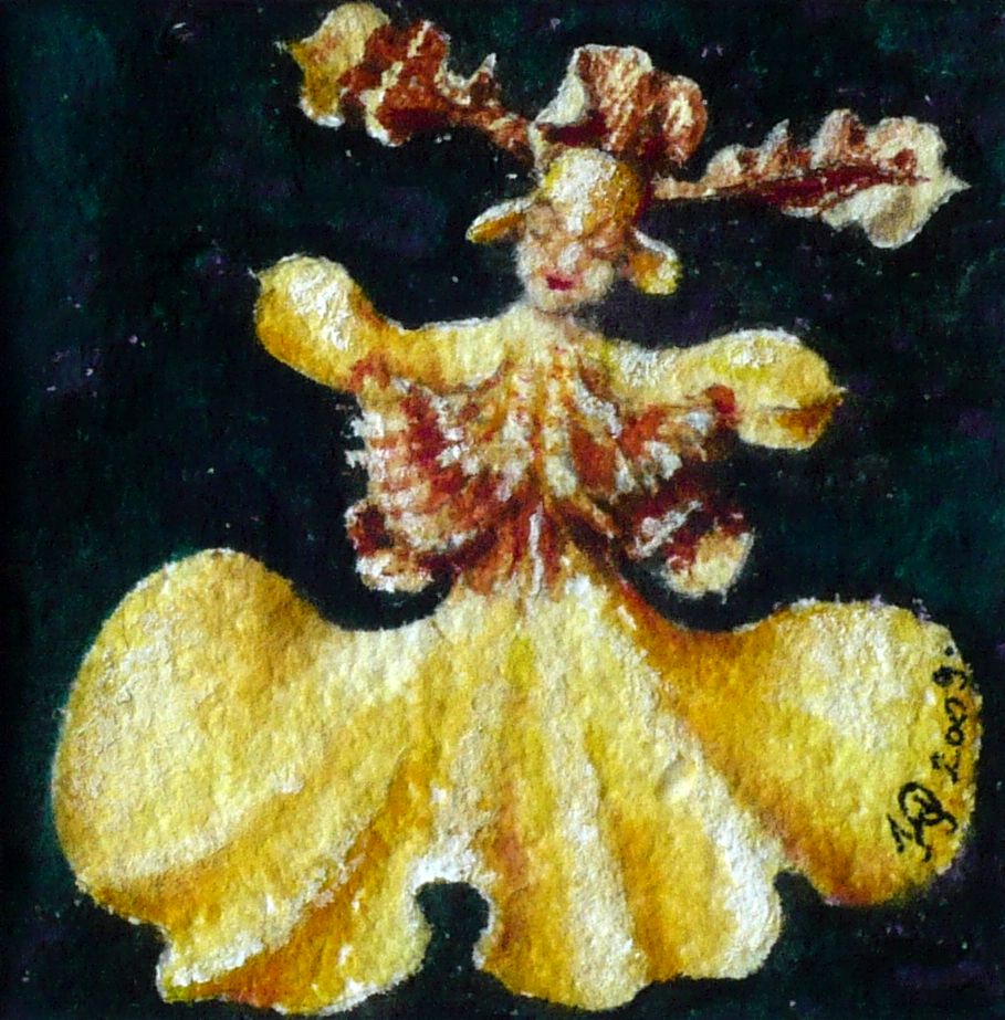 Orchidea balerina, Oncidium Varicosum 2009