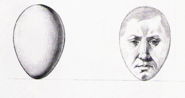 3. Az emberi fej a tojáshoz hasonló.