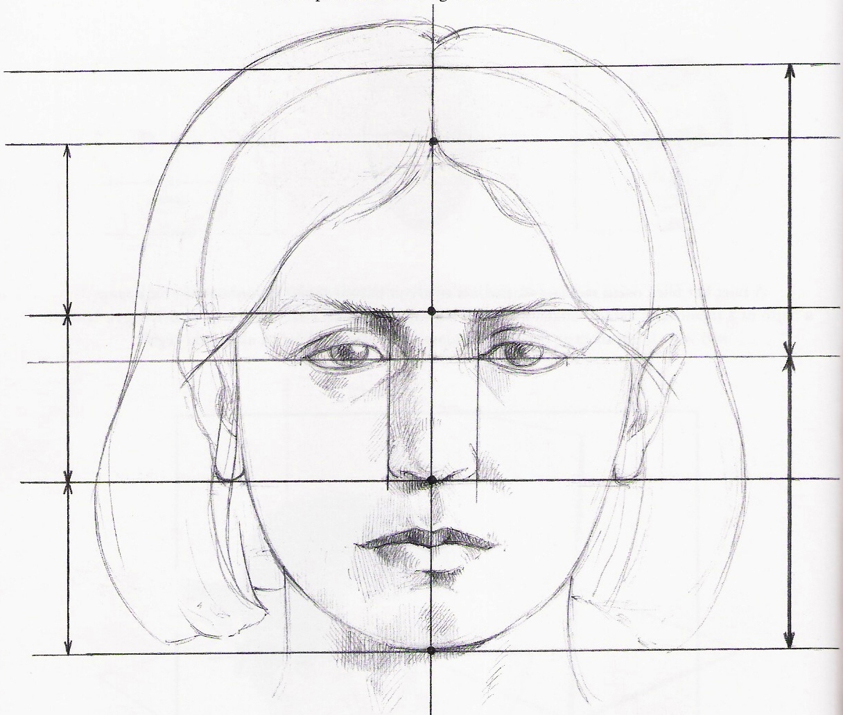 5. A fej felosztása az orrnyeregtől kiindulva.