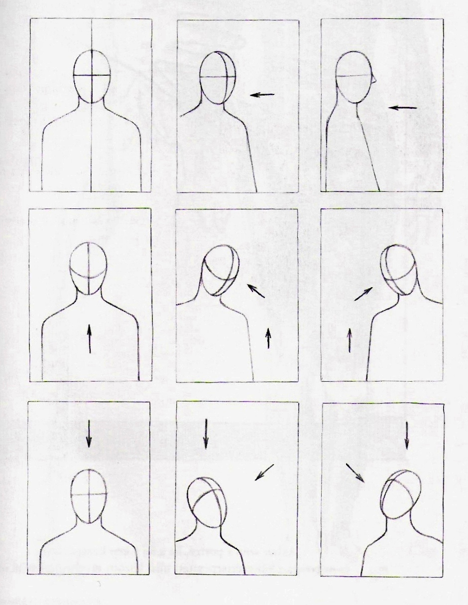 6. Rajzolás előtt a fej síkjait feltétlenül határozzuk meg.