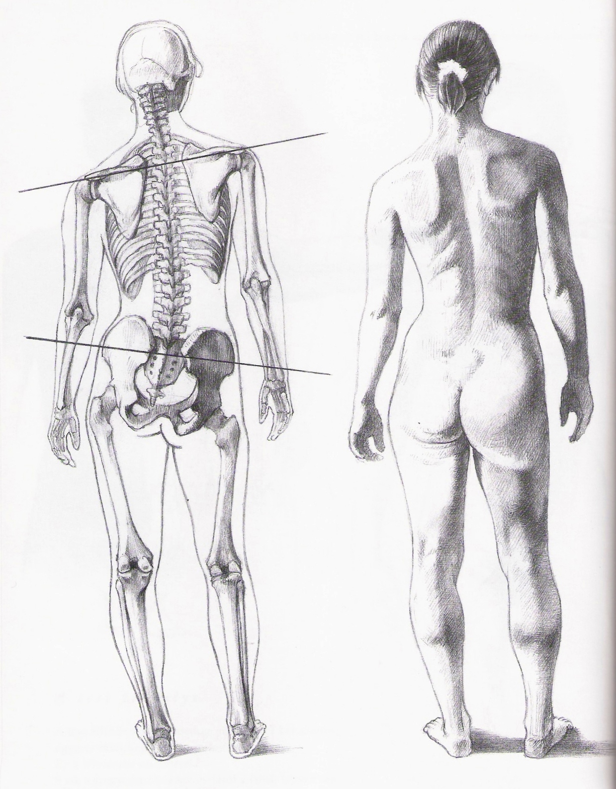 8. A test súlypontjának változása
