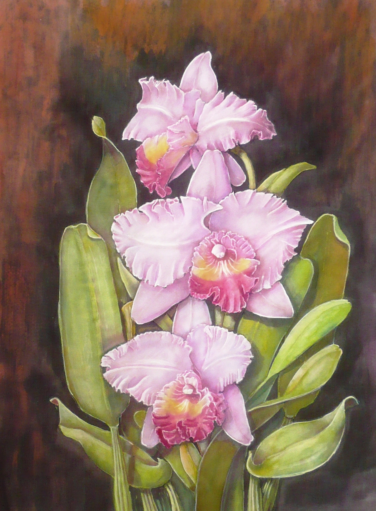 Orchidea: Kidolgozás