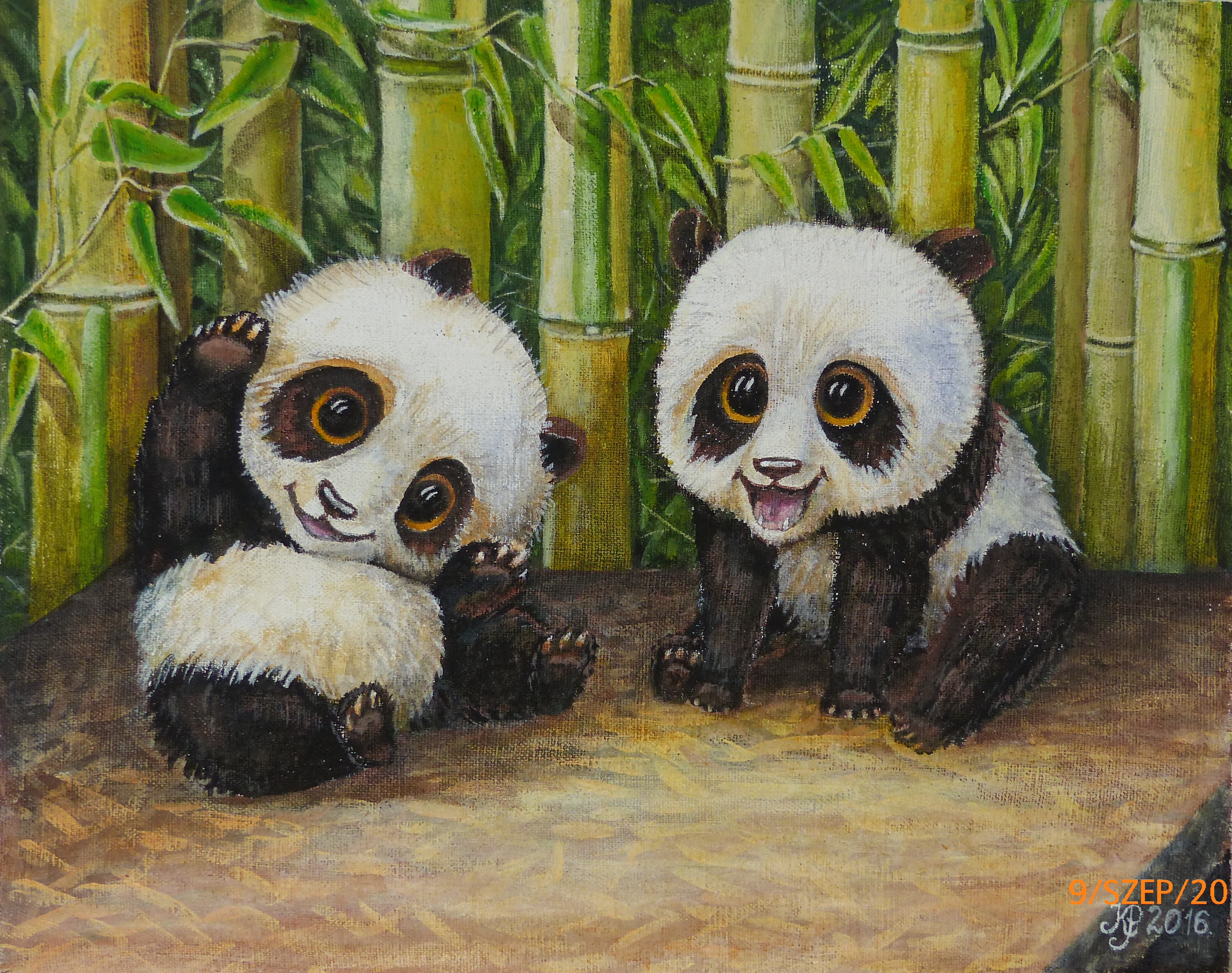 Pandák
