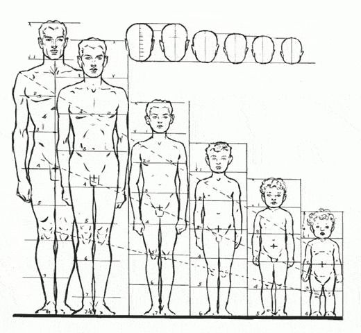 Testarányok kicsiknek és nagyoknak